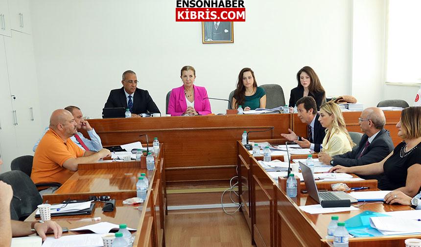 KIBRIS
                                        Iktisat, Maliye, Bütçe ve Plan Komitesi toplandı