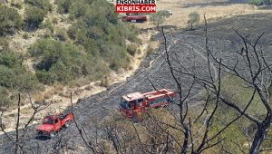 KIBRIS
                                        Orman Dairesi: Zamanında müdahale edilmesiyle orman yangının önüne geçildi