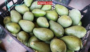 KIBRIS
                                        Gümrüğe beyan edilmemiş 700 kilo avokado ve 150 paket sigara tespit edildi